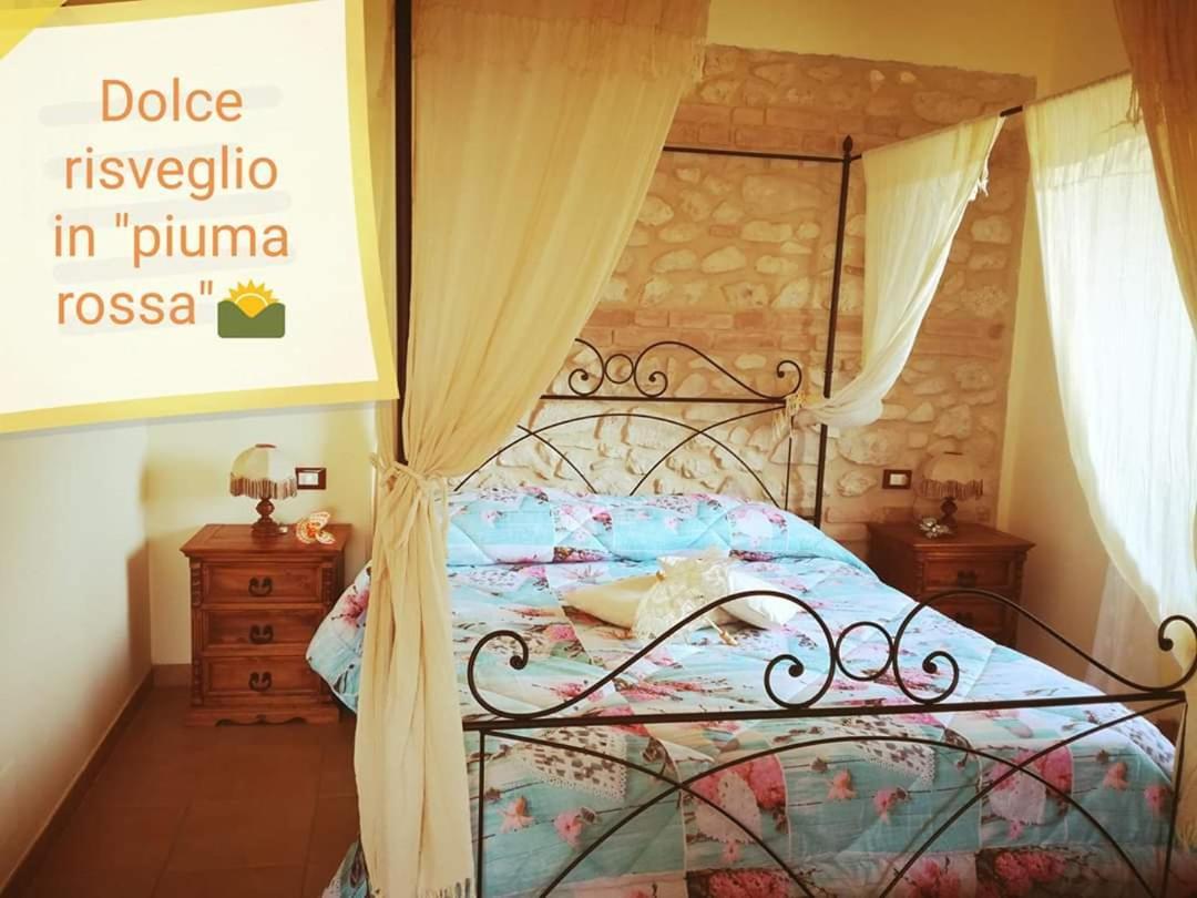 Il Poggio Dei Pettirossi Apartment Pettorano sul Gizio ภายนอก รูปภาพ