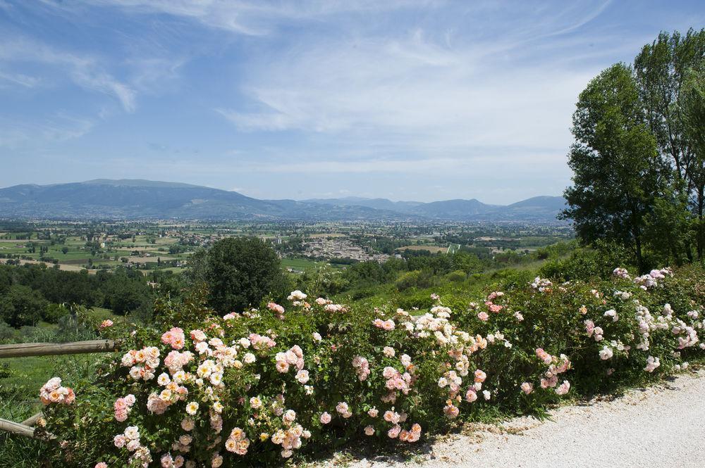 Il Poggio Dei Pettirossi Apartment Pettorano sul Gizio ภายนอก รูปภาพ